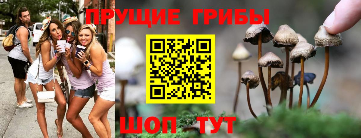 Псилоцибиновые грибы Magic Shrooms  Дятьково  Псилоцибиновые грибы прущие грибы 