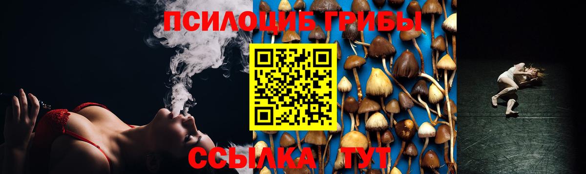 Галлюциногенные грибы MAGIC MUSHROOMS Дятьково